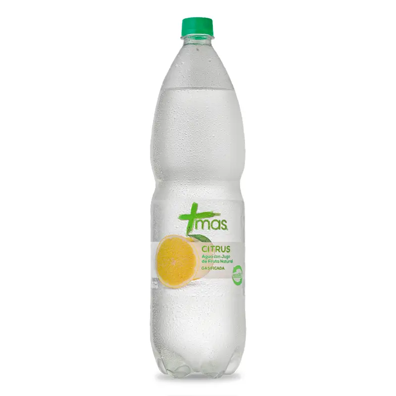 CACHANTUN 2.5LT DESECHABLE x 6 unidades - CON GAS