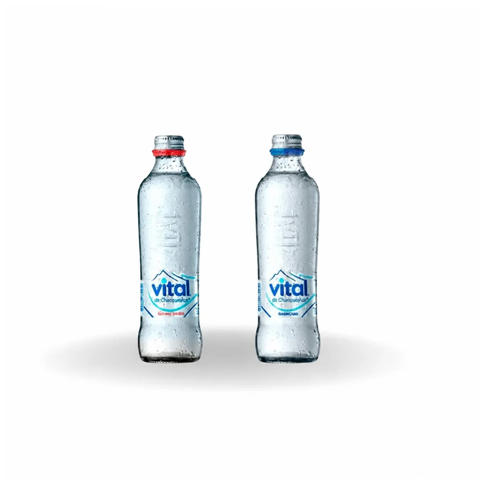 VITAL 330 ML VIDRIO X 12UNID. - CON GAS
