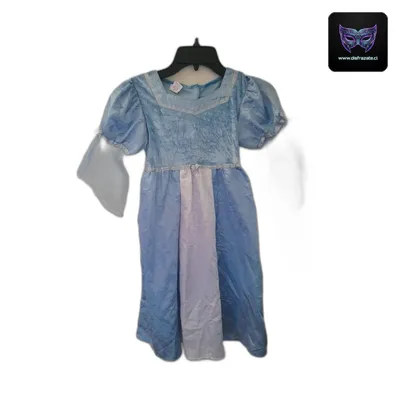 Disfraz Cenicienta (Talla 6)
