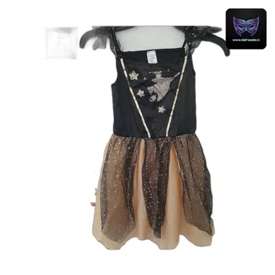 Disfraz Bruja (Talla 6)