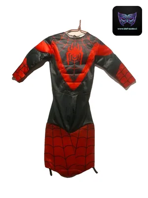 Disfraz Spidey (Talla 2)