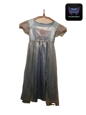 Disfraz Elsa Frozen (Talla 3)