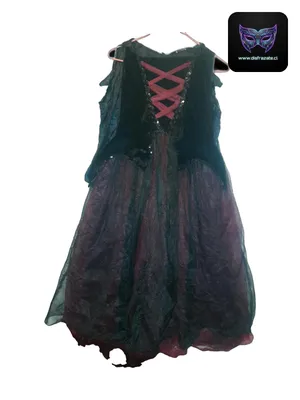 Disfraz Bruja (Talla 10)