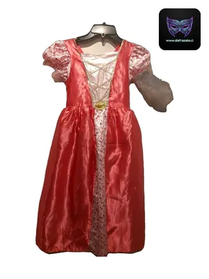 Disfraz Princesa Pink (Talla 7)